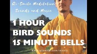 1 hour Bird sounds with 15 minute bells for Nei-Dan meditation practice