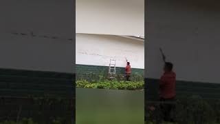 #wall #painting #artist #viral #shorts #video #like #share