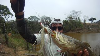 Pesca de Traíras! Trabalhos de isca, Botes, Fisgadas e Filetagem.