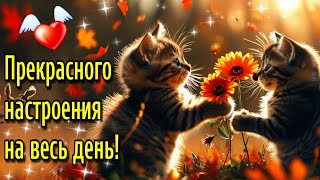 🌞☕Самого доброго осеннего  утра!🍁Благословенного дня!🌞Красивая музыкальная открытка