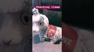 Twerking llama