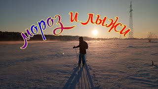 мороз и солнце ☀️ лыжная прогулка ⛷️