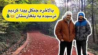 جنگل زیبای بلگراد در استانبول که یاد شمال خودمون میندازه | Belgrad Ormanı