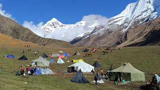 Very Relaxing Himalayan Village Life | Dolpa | Nepal | Organic Food cooking | Yarshgumba Hunter |