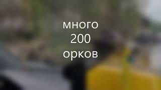 Красный Лиман Много груза 200 орков вдоль трассы