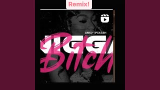 Nigga bitch (feat. Aamia & Cash) (Punched Version)