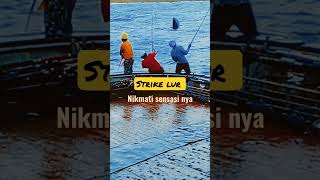 Strike mancing Mania lur #fyp #mancingmania