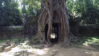 Angkor - Ta Som and Ta Prohm