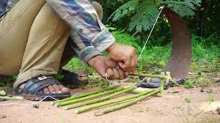 Chicken Trap Using Cutter & Bamboo