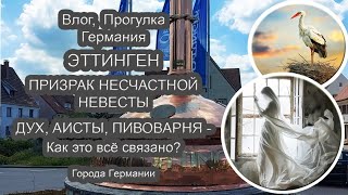 Аисты заполонили весь город! Призраки оккупировали замок. В Путь Влог 8