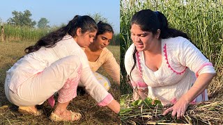 Village woman daily routine work | Pakistan Village Life | Pakfamilyvlog Village Girl Vlog