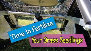 Time to Fertilize New Grass Seedlings