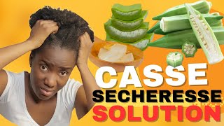 Les secrets pour un bon soin hydratant capillaire cheveux crépus secs et cassants