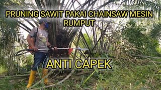 Prunning sawit pakai chainsaw mesin rumput