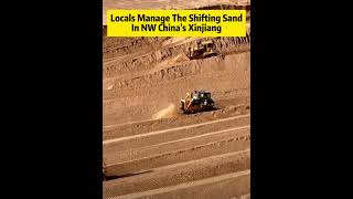 Locals manage the shifting sand in NW China's Xinjiang#fyp #fypシ #china  #environment