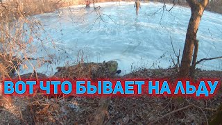 Вот что бывает по первому льду! ДИКИЙ ХОРЁК СОВСЕМ не ПУГЛИВЫЙ!