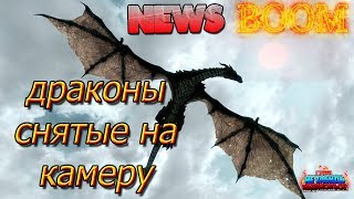 НАСТОЯЩИЕ ДРАКОНЫ.ДРАКОНЫ,снятые на видео.