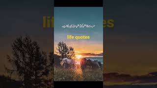 Life quotes video#trending