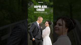 На свадьбе собрали 100 килограммов корма для собак