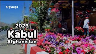 Why Is Kabul Afghanistan beauty of 2023 So Popular Right Now?