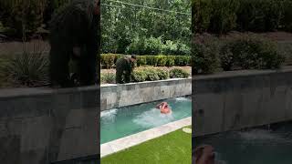 From Bushes to Splash: The ULTIMATE PRANK unfolds💦😂