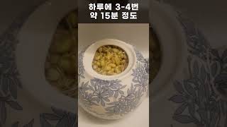 초간단 콩나물키우기2 (티팟)