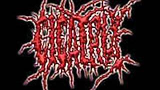 Cicatrix - Weight of Trust