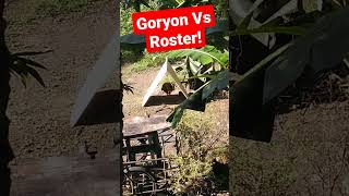 Goryon Vs Roster!