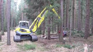 Menzi Master M515 beim Fällen - cutting a tree