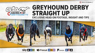 Greyhound Derby Straight Up | Second Round | Greyhound Tips | RPGTV