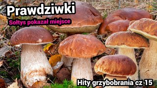 Prawdziwki , są takie miejsca w każdym lesie