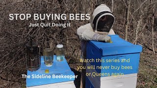 Beekeeping: Stop Buying Bees | Series on Growing Apiary.