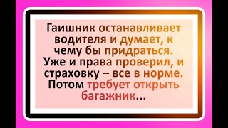 Мужик собрался в командировку... Сборник веселых анекдотов!