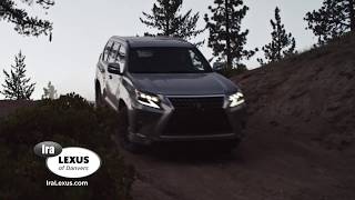 2020 Lexus GX 460  vs Acura MDX