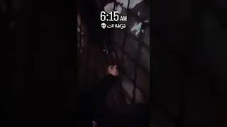 رؤوف بلقاسمي في دور المربب #رؤوف_بلقاسمي