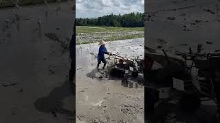 Farmers are farming on the way to Tanah Lot Bali