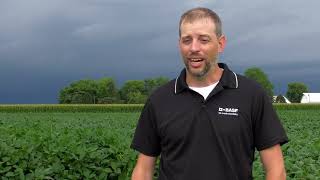 The Process Behind Soybean Breeding