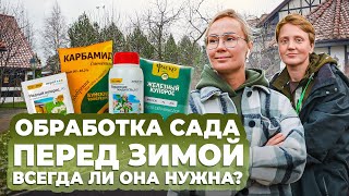 Обработка сада перед зимой. Всегда ли она нужна?