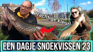 Prachtige kleur snoek! - Een dagje snoekvissen 23