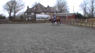 Dressage Anywhere