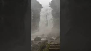 When waterfalls flow in full trottle 😱 #shorts #ytshorts #chikkamagaluru #hebbefalls