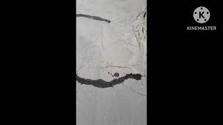 Crack repair on Concrete Slab using  Low Viscosity Epoxy Resin Grout