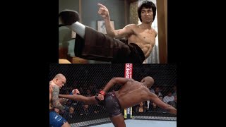 Martial arts moves performed in Real fights!!! - UFC and more