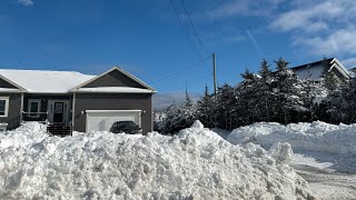 After a massive snow storm in Newfoundland || February 2024