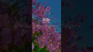 Surah At-Tariq Just Urdu Translation || #qurantranslation #growmyaccount #shorts #unfrezzmyaccount