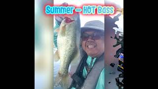 SUMMER - HOT Bass bites in AZ #shorts #fishing #bass #kayakfishing