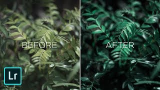 Lightroom Tutorial | Dark and Moody Greens Look (Hindi)