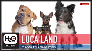 LUCA LAND | Dog Park | Dog Breeds | H2O Channel