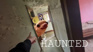 SCARY ABANDON HOUSE VLOG!!!! #haunted #scary #vlog