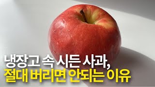 냉장고 속 시든 사과, 절대 버리지 마세요. 이렇게 하면 해결됩니다